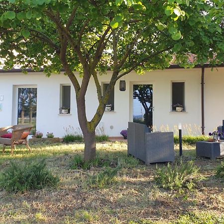 Agriturismo Podere Il Fitto Campiglia Marittima Exterior foto