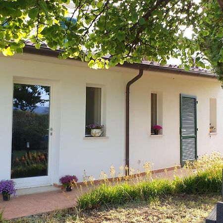 Agriturismo Podere Il Fitto Campiglia Marittima Exterior foto